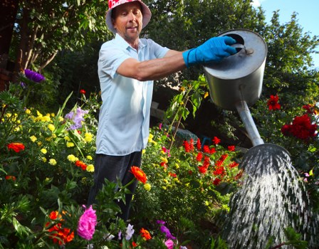 In this outdoor garden scene, a man wearing a white shirt, black trousers, a red hat, and blue gardening gloves is watering vibrant flower beds with a large watering can. The garden features a lush, well-maintained lawn with dense, green grass, bordered by a variety of colorful flowering plants, including reds, pinks, and purples, which add natural tones to the landscape. In the background, there are tall trees and a blue sky indicating a sunny day, providing a pleasant environment for outdoor maintenance. The flower beds are arranged along the edges of the garden, with some plants growing alongside a paved pathway or patio area. The overall setting appears to be a typical residential garden designed for aesthetic appeal and outdoor enjoyment, reflecting professional gardening practices that Gardening Services Northolt might undertake for local clients, ensuring a vibrant and healthy outdoor space visible in Northolt or nearby areas. The scene emphasizes active garden care and nurturing of garden features, suitable for landscaping, lawn care, and general outdoor maintenance services.