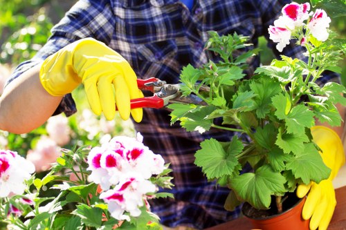 Beautiful Northolt garden maintained by professionals