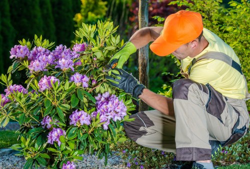 Professional garden lighting installation in Northolt